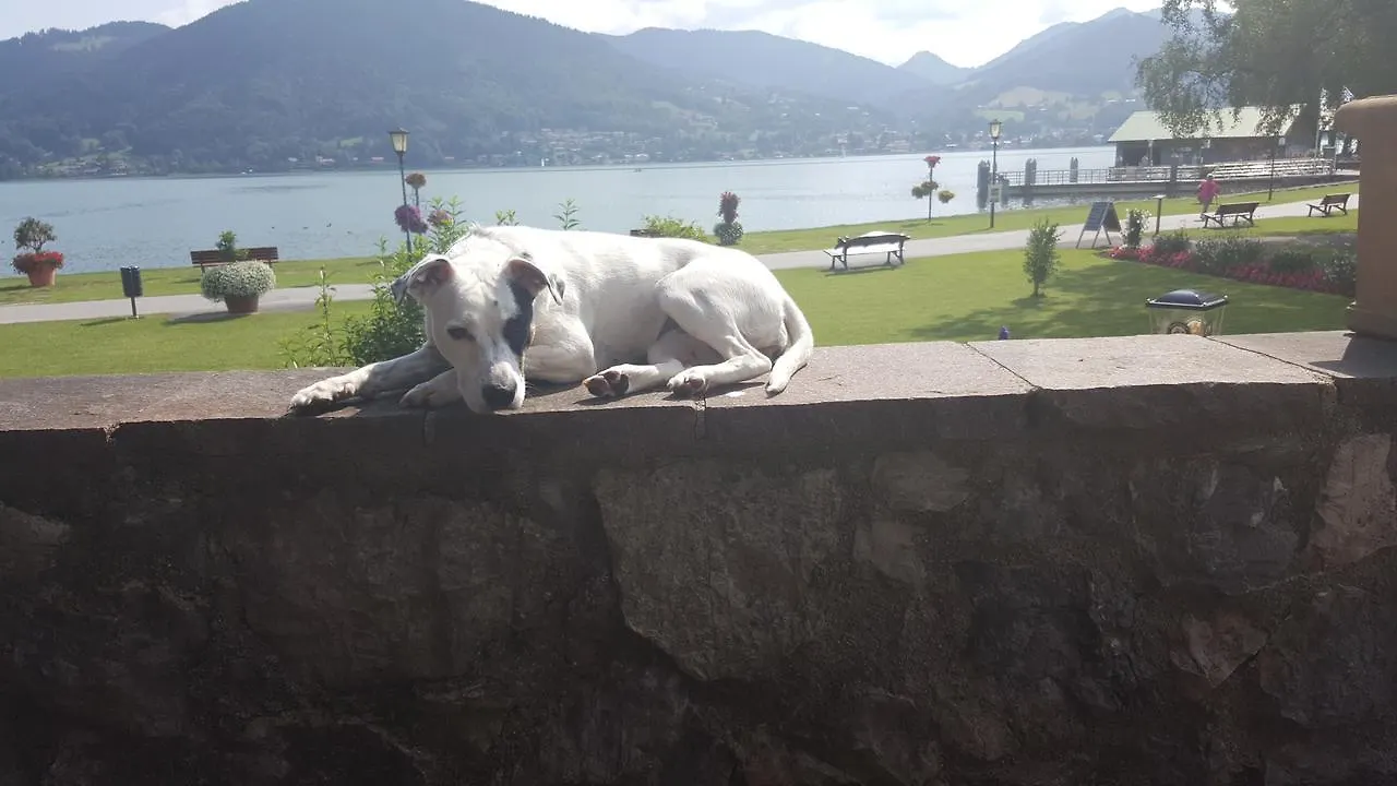 Guest house Hotel Seegarten Bad Wiessee